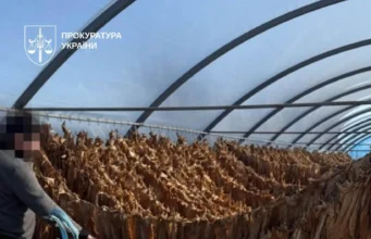 На Тернопільщині викрили підпільну тютюнову фабрику На Тернопільщині викрили підпільну тютюнову фабрику