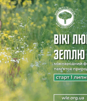 Покажіть-красу-української-природи-світові:-стартував-фотоконкурс-«Вікі-любить-Землю» Покажіть-красу-української-природи-світові:-стартував-фотоконкурс-«Вікі-любить-Землю»