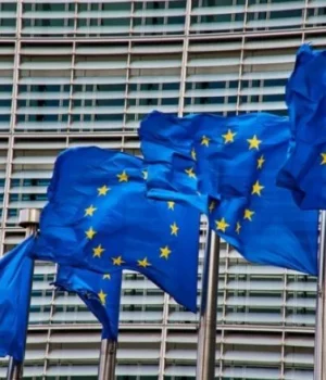 В-Європарламенті-розкритикували-назву-підрозділу-ССО-на-честь-УПА-через-ігнорування-"польських-чутливих-питань"