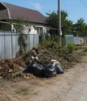 Українців можуть оштрафувати за неприбрану територію біля будинку