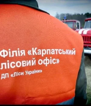 14_main_v1783624217.webp Слідство заявило про махінації у філії Лісів України