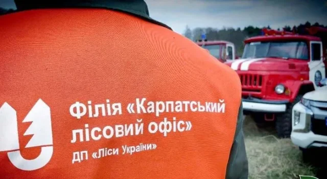 Слідство заявило про махінації у філії Лісів України Слідство заявило про махінації у філії Лісів України