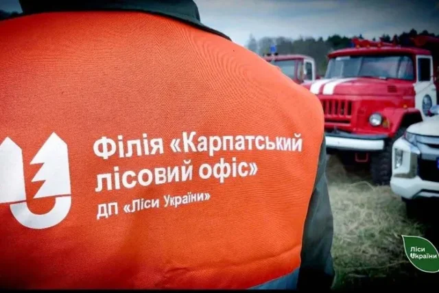 Слідство заявило про махінації у філії Лісів України Слідство заявило про махінації у філії Лісів України