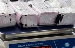 В Україні викрито канал постачання кокаїну: затримано зловмисника В-Україні-викрили-канал-постачання-кокаїну,-вилучено-партію-на-52-000-доларів-–-Офіс-Генпрокурора