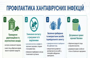 Хантавірусна інфекція: ризики та профілактика Хантавірусна-інфекція:-що-це-і-як-уберегтися