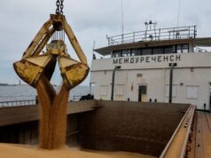 Плани окупантів щодо Маріупольського порту: новий вантажно-пасажирський хаб на півдні України Маріупольські-«Нью-Васюки»-Окупанти-заявили-про-нові-плани-на-порт.-Що-за-цим-стоїть