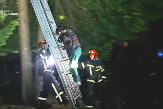 У Львові рятувальники зняли з дерева жінку, яка полізла рятувати кота У Львові рятувальники зняли з дерева жінку, яка полізла рятувати кота