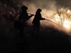 Лісова пожежа в Іспанії забрала життя 13 осіб Кількість-жертв-масштабної-лісової-пожежі-на-півдні-Іспанії-зросла-до-13