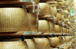 Спека в Італії загрожує виробництву одного з найвідоміших сирів: фермери б’ють на сполох Спека-в-Італії-загрожує-виробництву-одного-з-найвідоміших-сирів:-фермери-б’ють-на-сполох