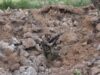Загострення конфлікту під Слов’янськом: нові дані від Генштабу Загострення-під-Слов’янськом:-Росія-перекинула-«Судний-день»