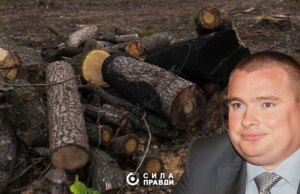 На Волині Колісника-молодшого судять через незаконну вирубку понад тисячі дерев На-Волині-Колісника-молодшого-судять-через-незаконну-вирубку-понад-тисячі-дерев