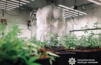 Нацполіція провела 435 обшуків у межах спецоперації Джентельмени-2026 Нацполіція провела 435 обшуків у межах спецоперації Джентельмени-2026