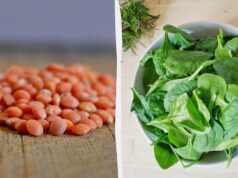 Які продукти багаті на залізо: дієтологи порадили додати до раціону 8 видів Які-продукти-багаті-на-залізо:-дієтологи-порадили-додати-до-раціону-8-видів