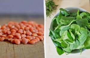 Які продукти багаті на залізо: дієтологи порадили додати до раціону 8 видів Які-продукти-багаті-на-залізо:-дієтологи-порадили-додати-до-раціону-8-видів