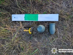 На Рівненщині діти знайшли бойову гранату біля річки На Рівненщині діти знайшли бойову гранату біля річки