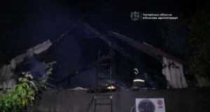 Атака російських дронів на Запоріжжя: один поранений, виникли пожежі російські-дрони-атакували-Запоріжжя,-поранено-людину,-виникли-пожежі-у-приватному-будинку-та-будівлі-вишу
