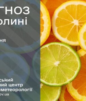 Якою-буде-погода-на-Волині-у-понеділок,-20-липня Якою-буде-погода-на-Волині-у-понеділок,-20-липня