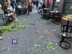 У Вінниці на 18-річну дівчину впала гілка дерева, потерпіла у важкому стані У Вінниці на 18-річну дівчину впала гілка дерева, потерпіла у важкому стані
