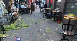 У Вінниці на 18-річну дівчину впала гілка дерева, потерпіла у важкому стані У Вінниці на 18-річну дівчину впала гілка дерева, потерпіла у важкому стані