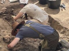 Ексгумація на Волині: знайшли рештки 32 людей, загиблих у часи Другої світової війни Ексгумація-на-Волині:-знайшли-рештки-32-людей,-загиблих-у-часи-Другої-світової-війни