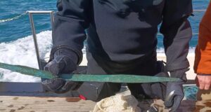 Водолази знайшли меч бронзової доби віком 3000 років, захований у морі Водолази-знайшли-меч-бронзової-доби-віком-3000-років,-захований-у-морі
