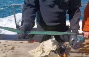 Водолази знайшли меч бронзової доби віком 3000 років, захований у морі Водолази-знайшли-меч-бронзової-доби-віком-3000-років,-захований-у-морі