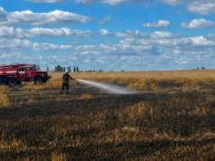 Російська атака призвела до пожежі на пшеничному полі в Житомирській області Атака-рф-спричинила-пожежу-на-пшеничному-полі-в-Житомирській-області-–-ОВА