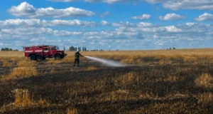Російська атака призвела до пожежі на пшеничному полі в Житомирській області Атака-рф-спричинила-пожежу-на-пшеничному-полі-в-Житомирській-області-–-ОВА