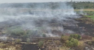 Під Одесою вже третю добу тліють 8 гектарів очерету та сухостою Під Одесою вже третю добу тліють 8 гектарів очерету та сухостою