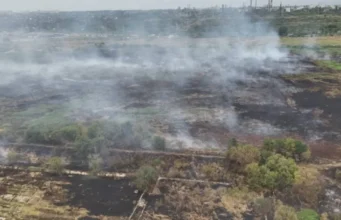 Під Одесою вже третю добу тліють 8 гектарів очерету та сухостою Під Одесою вже третю добу тліють 8 гектарів очерету та сухостою