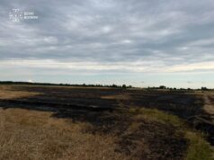 Учора на Волині ліквідували чотири пожежі сухої рослинності Учора-на-Волині-ліквідували-чотири-пожежі-сухої-рослинності