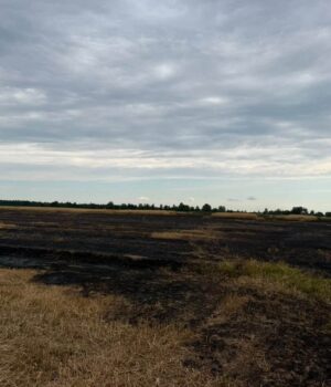 Учора-на-Волині-ліквідували-чотири-пожежі-сухої-рослинності Учора-на-Волині-ліквідували-чотири-пожежі-сухої-рослинності