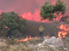 Макрон наказав залучити армію та звернувся за допомогою до ЄС: в ЗМІ повідомили деталі Макрон-наказав-залучити-армію-та-звернувся-за-допомогою-до-ЄС:-в-ЗМІ-повідомили-деталі