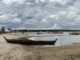 Дощі не допомогли: рівень води на Світязі знизився до 110 сантиметрів Дощі-не-допомогли:-рівень-води-на-Світязі-знизився-до-110-сантиметрів