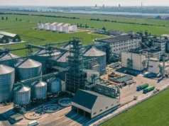 Призупиняє роботу один із найбільших виробників олій на Одещині Призупиняє роботу один із найбільших виробників олій на Одещині