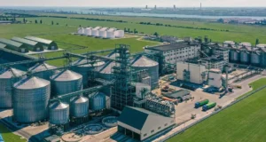 Призупиняє роботу один із найбільших виробників олій на Одещині Призупиняє роботу один із найбільших виробників олій на Одещині