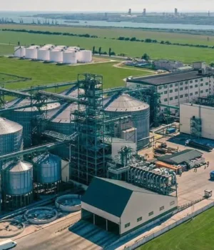 Призупиняє роботу один із найбільших виробників олій на Одещині