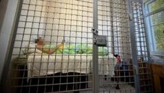 Підозра організатору військової виставки під Києвом після ракетного удару Удар-по-полігону-під-Києвом:-прокуратура-повідомила-про-підозру-організатору-військової-виставки