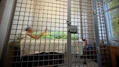 Підозра організатору військової виставки під Києвом після ракетного удару Удар-по-полігону-під-Києвом:-прокуратура-повідомила-про-підозру-організатору-військової-виставки