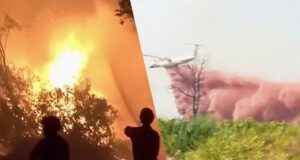 Лісові пожежі у Франції можуть загрожувати заводам з виробництва ракет, – The Telegraph Лісові-пожежі-у-Франції-можуть-загрожувати-заводам-з-виробництва-ракет,-–-the-telegraph