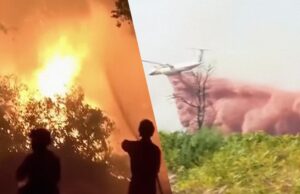 Лісові пожежі у Франції можуть загрожувати заводам з виробництва ракет, – The Telegraph Лісові-пожежі-у-Франції-можуть-загрожувати-заводам-з-виробництва-ракет,-–-the-telegraph