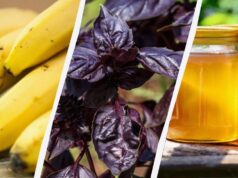 Це може лише зашкодити: 11 продуктів, які не варто зберігати в холодильнику Це-може-лише-зашкодити:-11-продуктів,-які-не-варто-зберігати-в-холодильнику