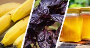 Це може лише зашкодити: 11 продуктів, які не варто зберігати в холодильнику Це-може-лише-зашкодити:-11-продуктів,-які-не-варто-зберігати-в-холодильнику