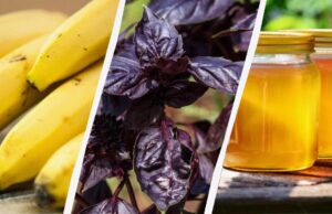 Це може лише зашкодити: 11 продуктів, які не варто зберігати в холодильнику Це-може-лише-зашкодити:-11-продуктів,-які-не-варто-зберігати-в-холодильнику