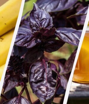 Це-може-лише-зашкодити:-11-продуктів,-які-не-варто-зберігати-в-холодильнику