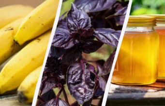 Це може лише зашкодити: 11 продуктів, які не варто зберігати в холодильнику Це-може-лише-зашкодити:-11-продуктів,-які-не-варто-зберігати-в-холодильнику
