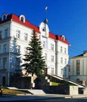 Восьмеро-військовослужбовців-стали-почесними-громадянами-Луцька:-пʼятеро-з-них-—-посмертно