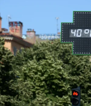 У-Німеччині-зафіксували-майже-10-тисяч-смертей-через-спеку