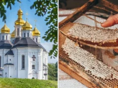 Медовий Спас 2026 традиції, заборони та прикмети Медовий Спас 2026 традиції, заборони та прикмети