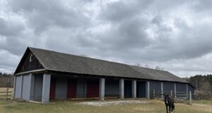 Син волинського лісівника купив конюшню «Поліського лісового офісу» майже за мільйон Син-волинського-лісівника-купив-конюшню-«Поліського-лісового-офісу»-майже-за-мільйон